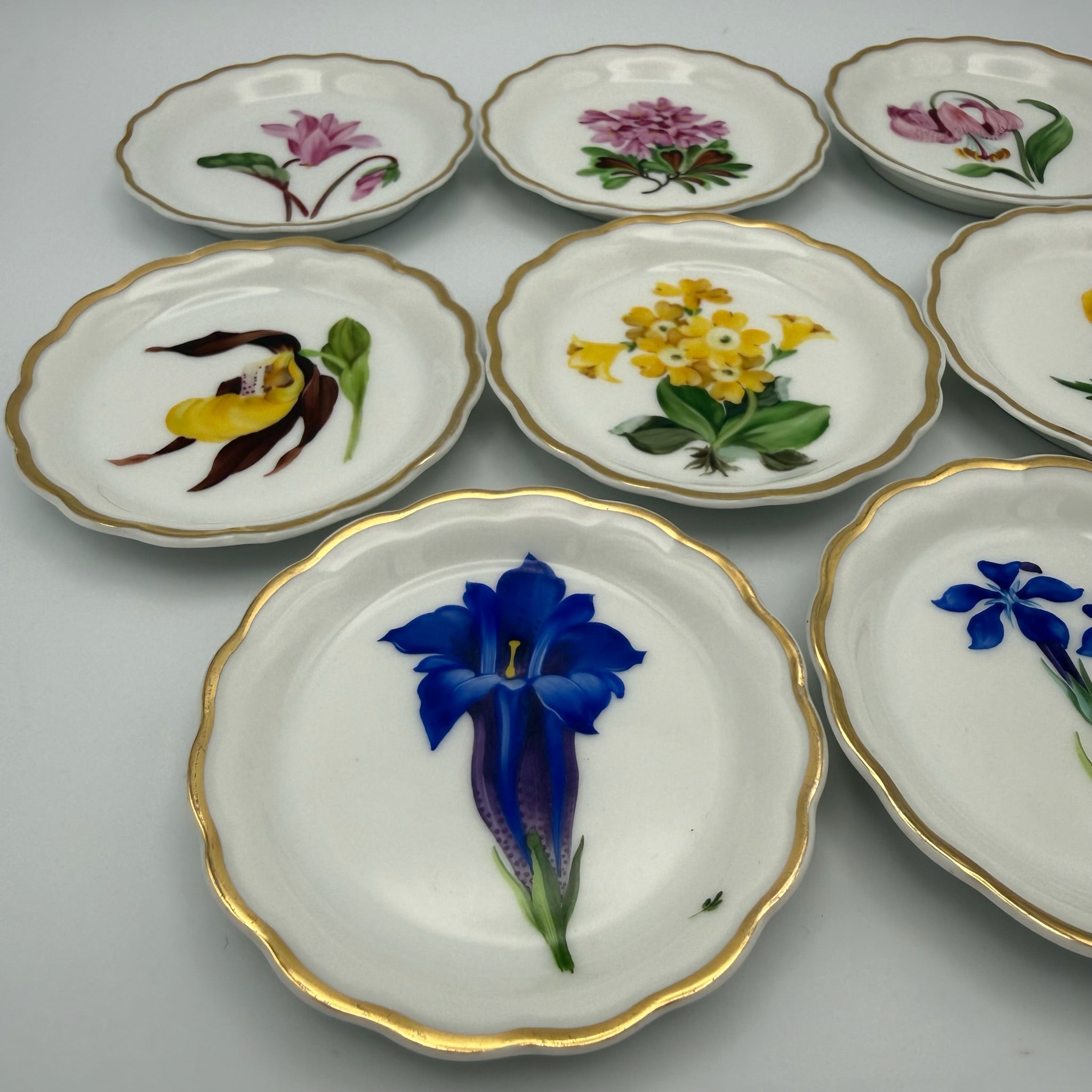8x Älteste Volkstedt Konfekttellerchen Streublumen Relief Goldrand Schälchen Volkstedter