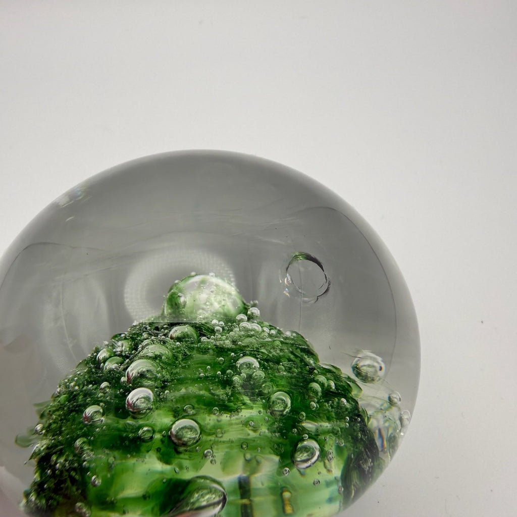 Image #8