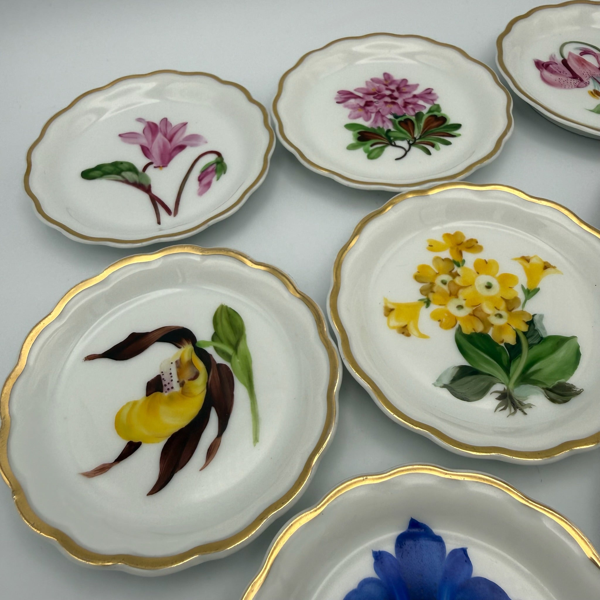 8x Älteste Volkstedt Konfekttellerchen Streublumen Relief Goldrand Schälchen Volkstedter