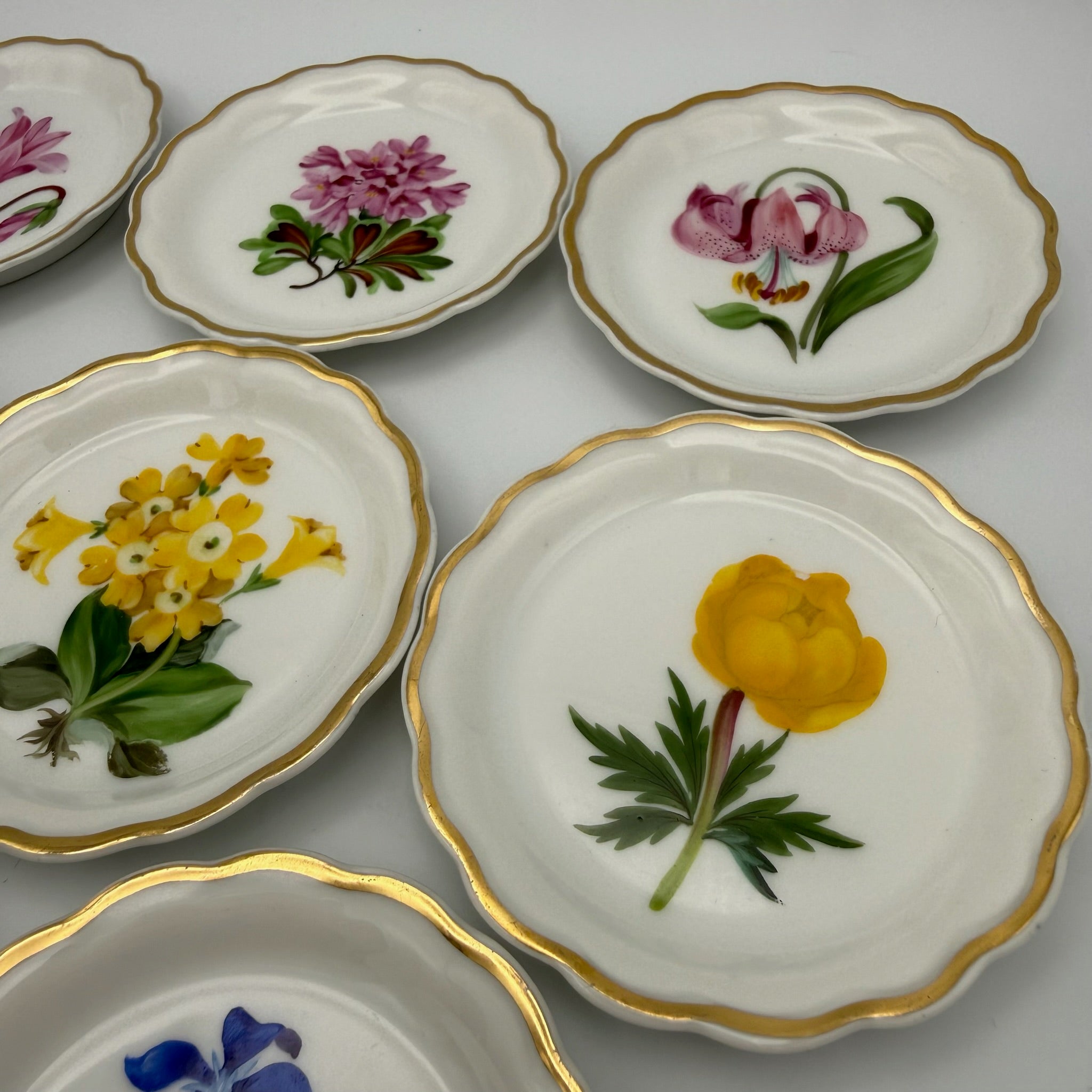 8x Älteste Volkstedt Konfekttellerchen Streublumen Relief Goldrand Schälchen Volkstedter