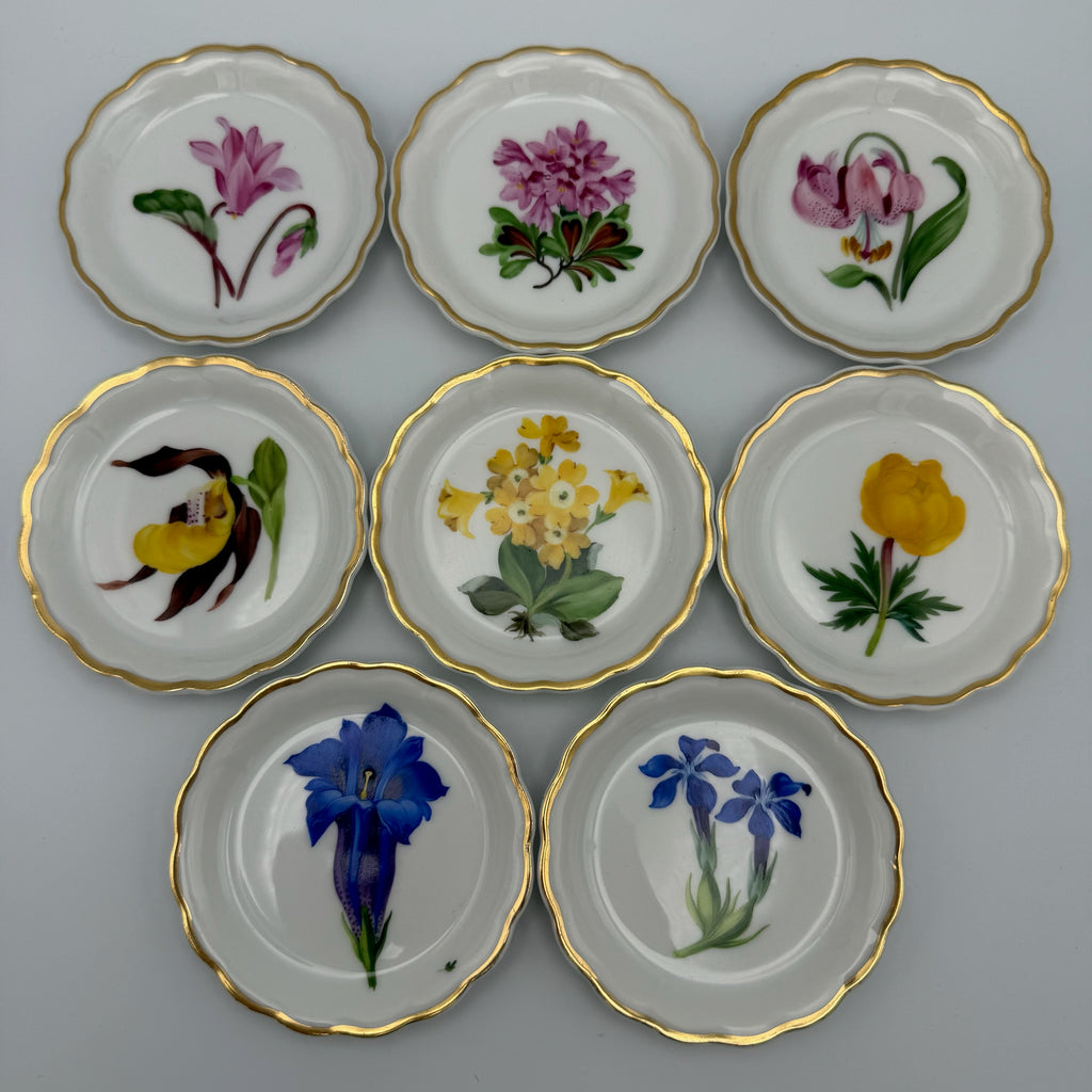 8x Älteste Volkstedt Konfekttellerchen Streublumen Relief Goldrand Schälchen Volkstedter
