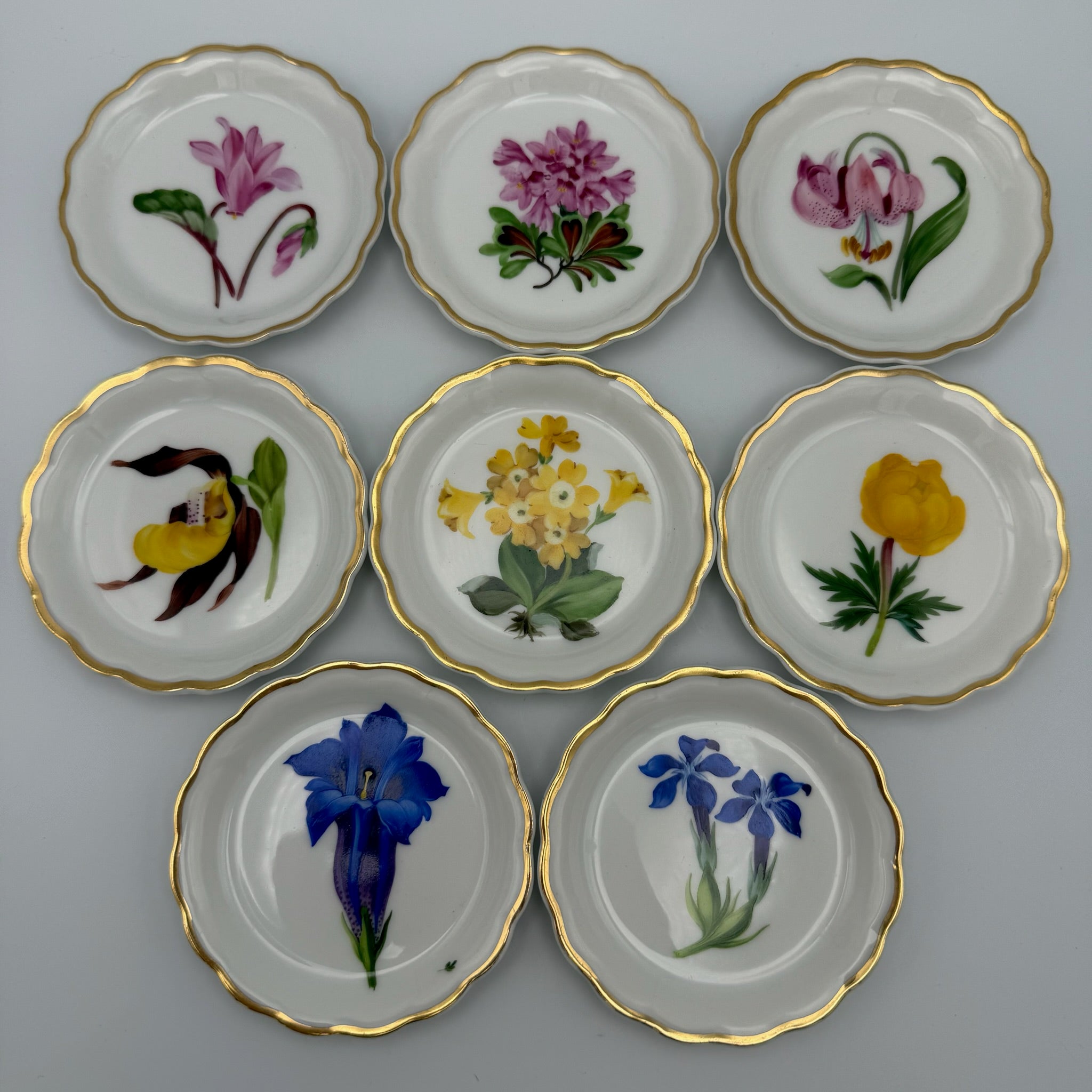8x Älteste Volkstedt Konfekttellerchen Streublumen Relief Goldrand Schälchen Volkstedter