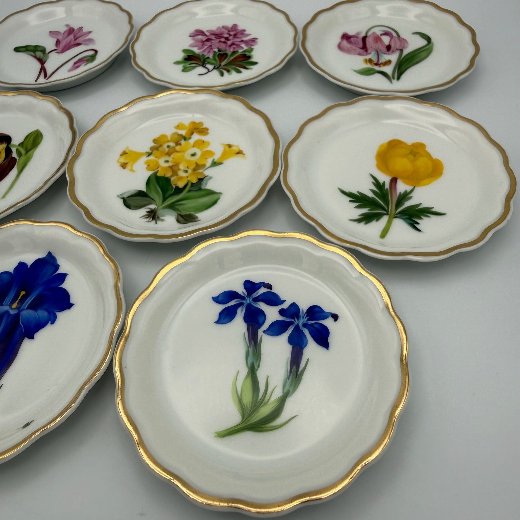8x Älteste Volkstedt Konfekttellerchen Streublumen Relief Goldrand Schälchen Volkstedter