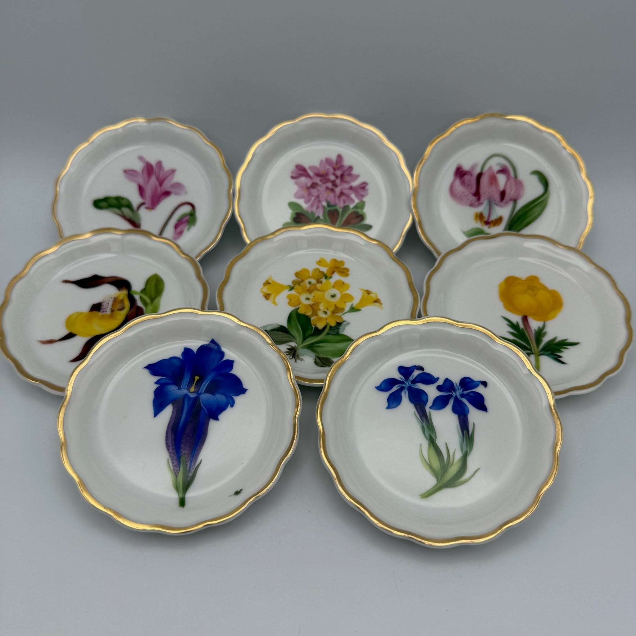 8x Älteste Volkstedt Konfekttellerchen Streublumen Relief Goldrand Schälchen Volkstedter