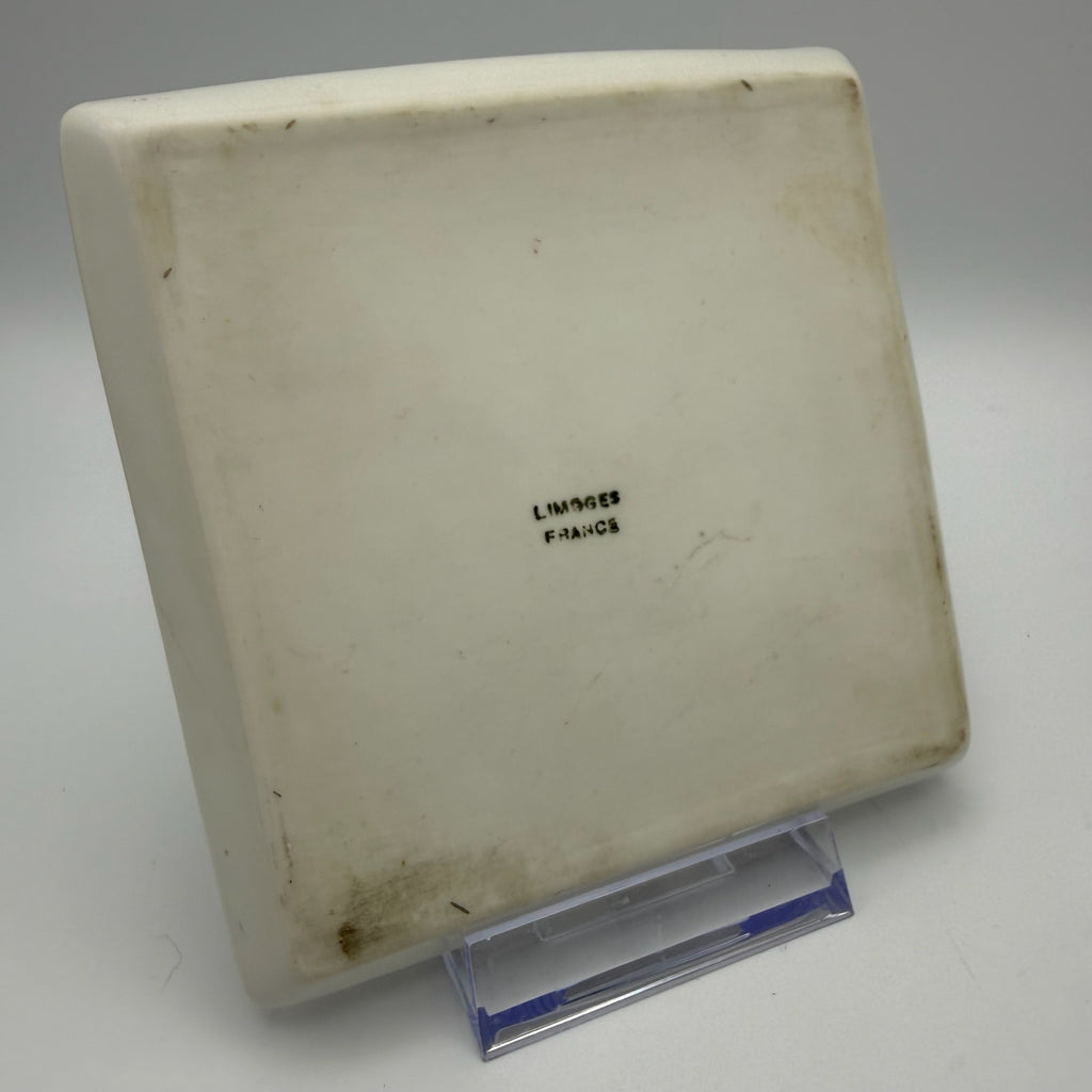 Antiker Limoges Teller I Quadratisch I Vögel Handbemalt I Chavagnac I Um 1900 Limoges