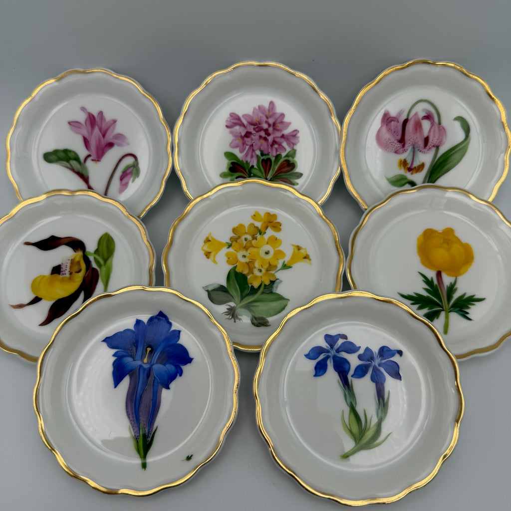 8x Älteste Volkstedt Konfekttellerchen Streublumen Relief Goldrand Schälchen Volkstedter