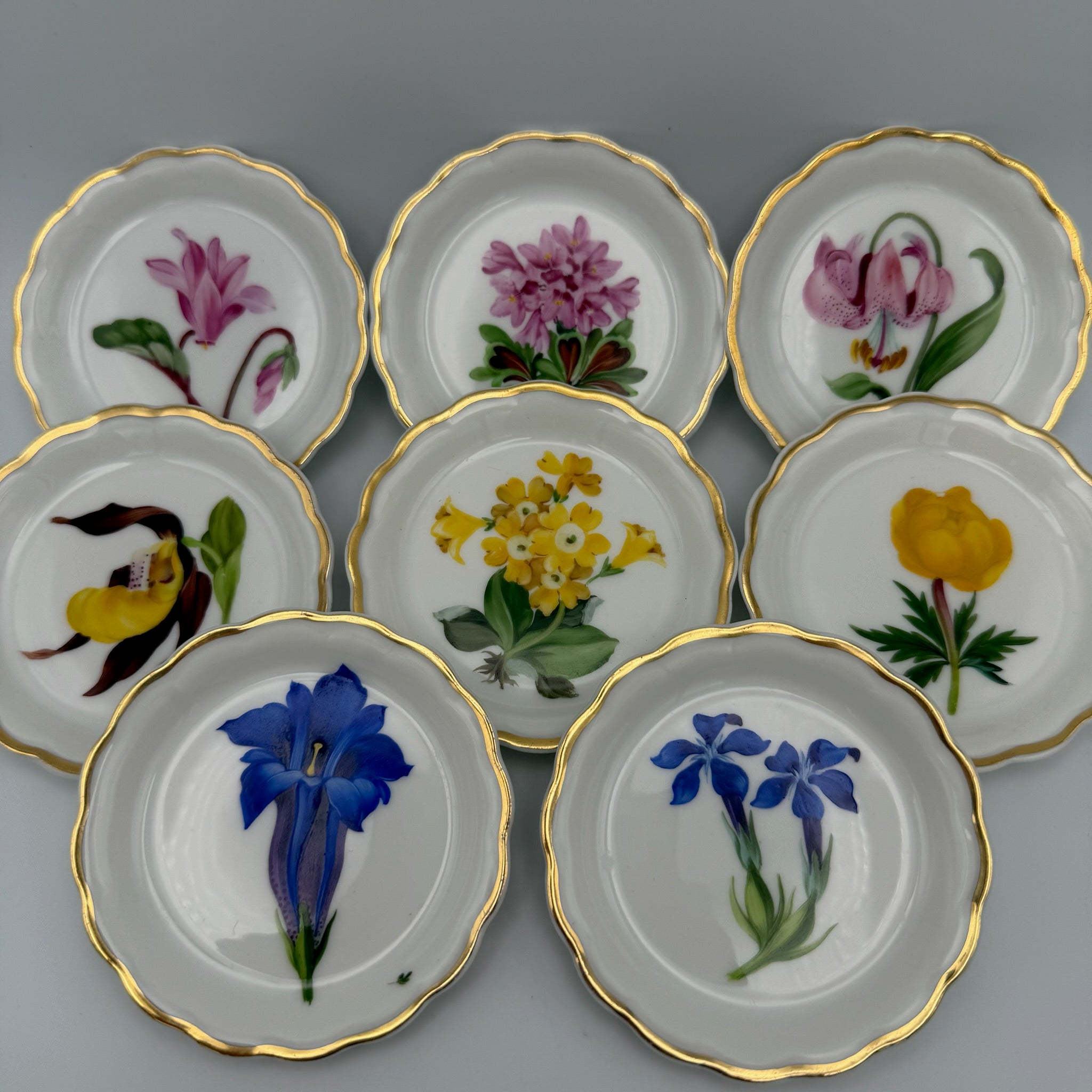 8x Älteste Volkstedt Konfekttellerchen Streublumen Relief Goldrand Schälchen Volkstedter