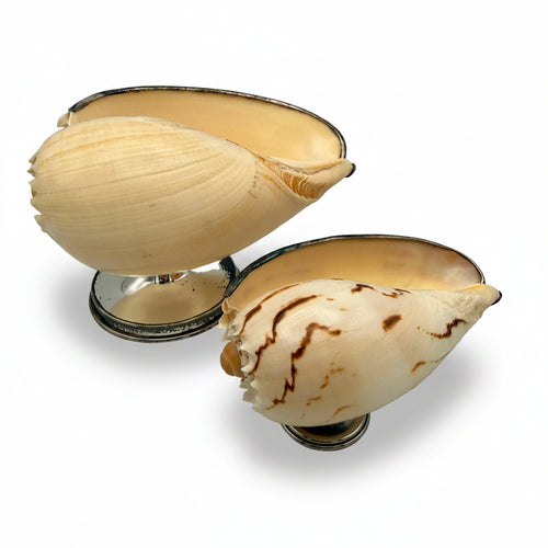2er Set Antik Muschelschalen Silber-Fuss I Melo Walzenschnecke Schale Vintage Showroom Ansbach