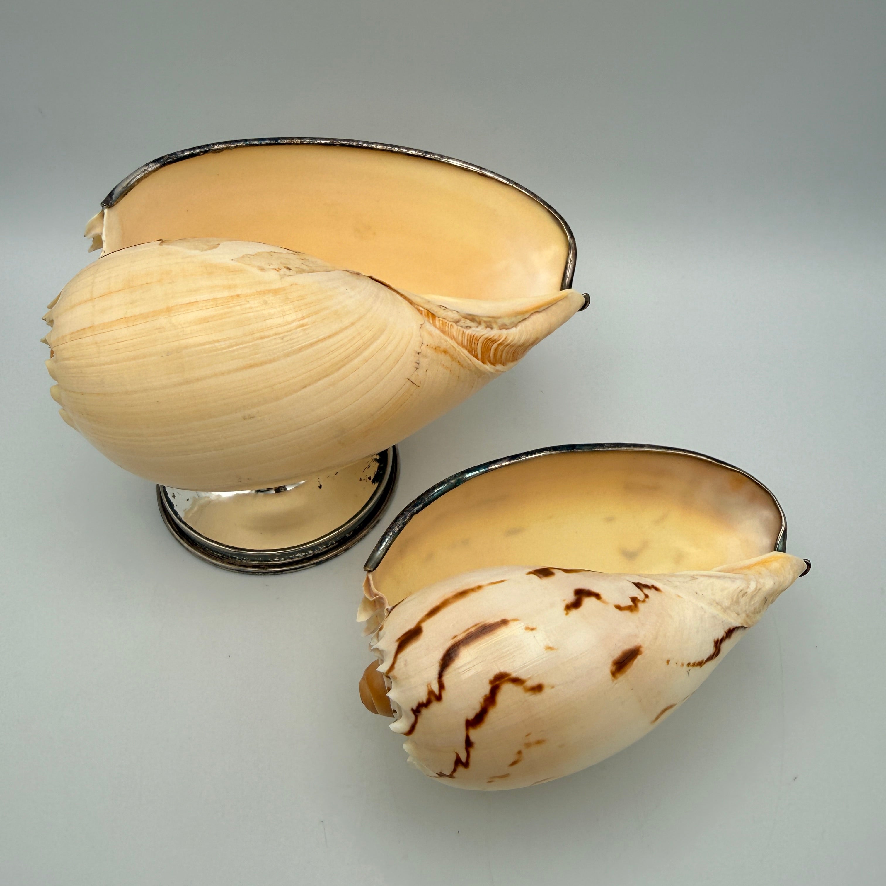 2er Set Antik Muschelschalen Silber-Fuss I Melo Walzenschnecke Schale Vintage Showroom Ansbach