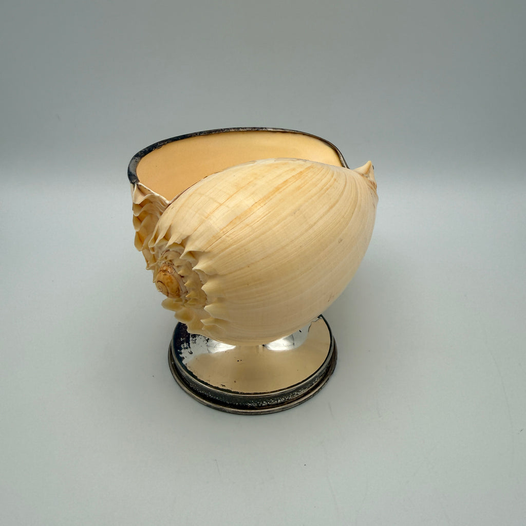2er Set Antik Muschelschalen Silber-Fuss I Melo Walzenschnecke Schale Vintage Showroom Ansbach
