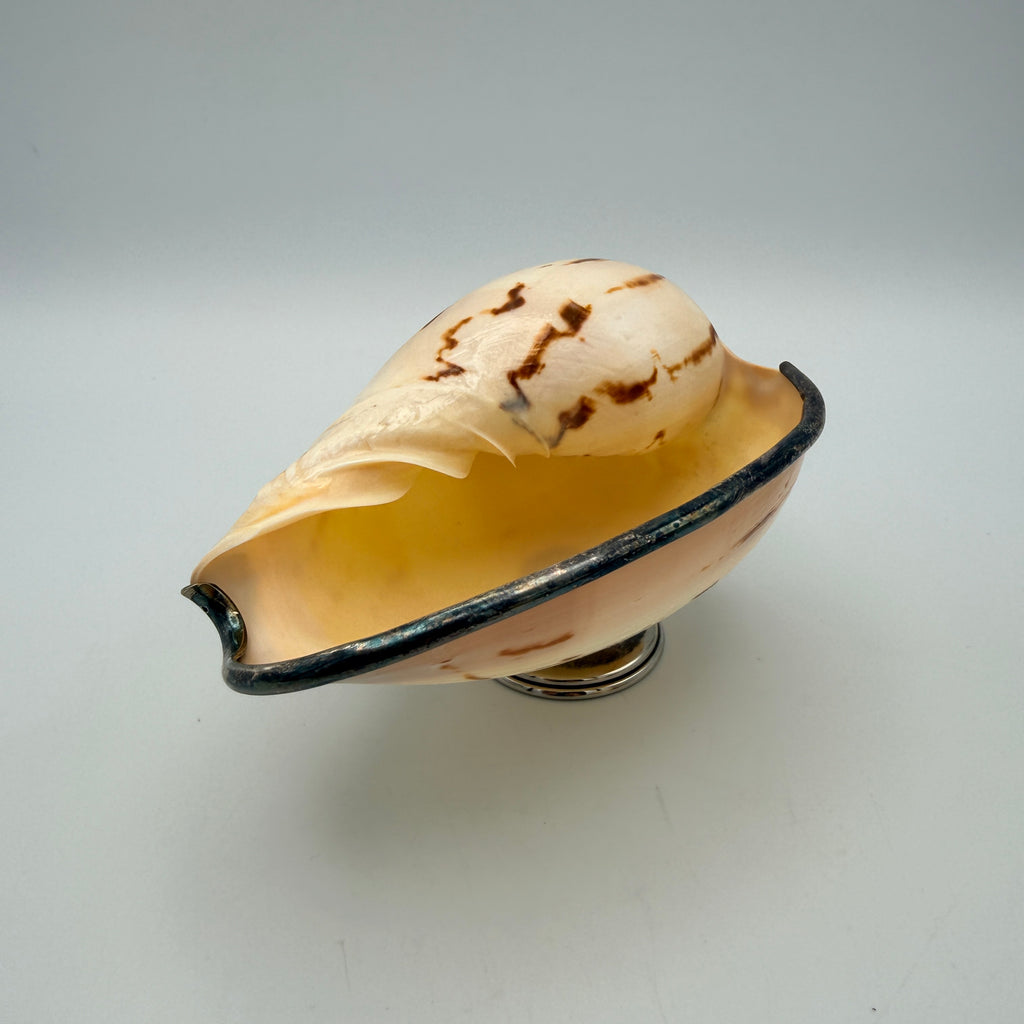2er Set Antik Muschelschalen Silber-Fuss I Melo Walzenschnecke Schale Vintage Showroom Ansbach
