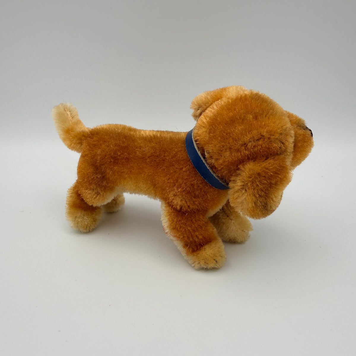 5 Steiff Tiere Bambi Xorry Jocko Bazi Goldy Knopf Fahne 1950er–70er Steiff