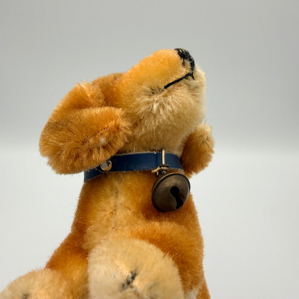 5 Steiff Tiere Bambi Xorry Jocko Bazi Goldy Knopf Fahne 1950er–70er Steiff