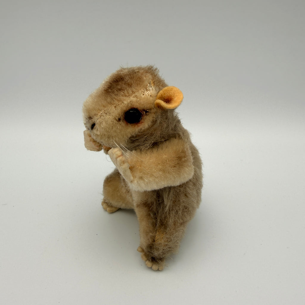 5 Steiff Tiere Bambi Xorry Jocko Bazi Goldy Knopf Fahne 1950er–70er Steiff
