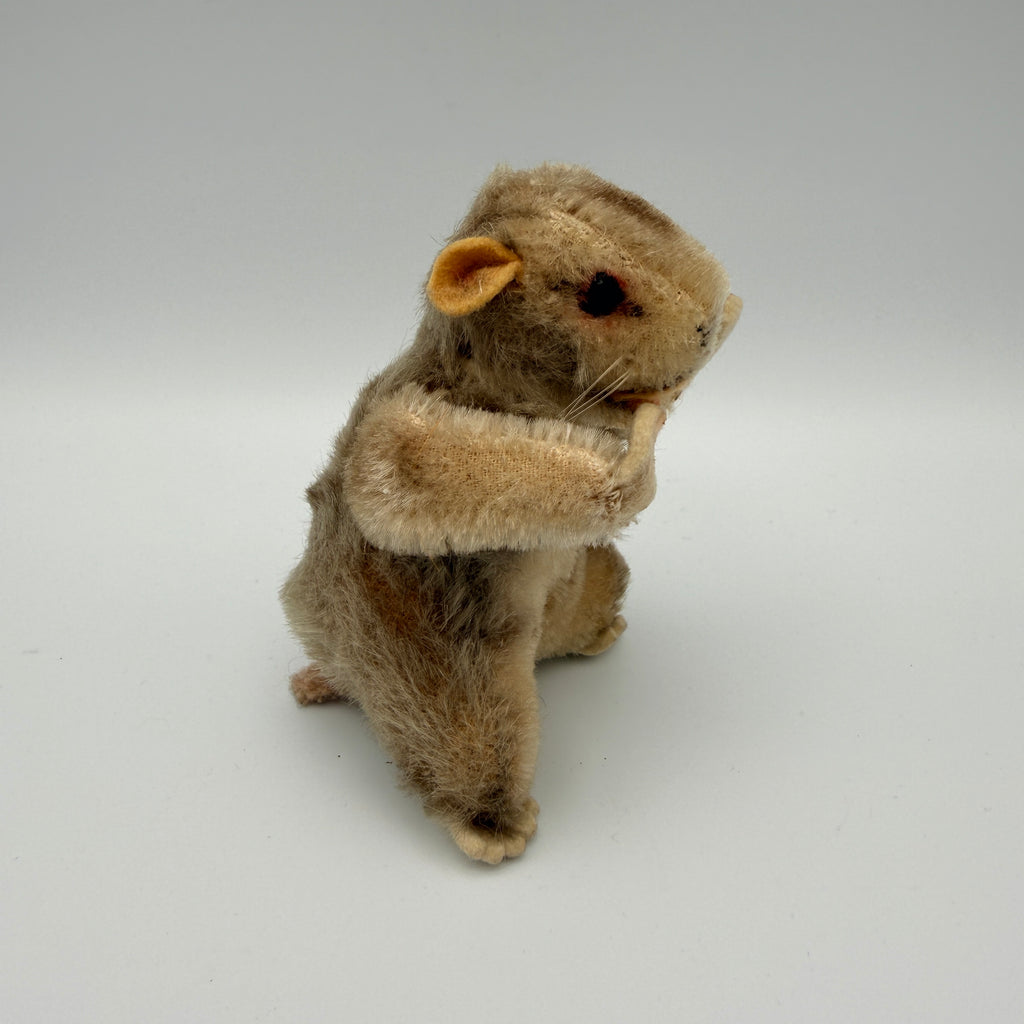5 Steiff Tiere Bambi Xorry Jocko Bazi Goldy Knopf Fahne 1950er–70er Steiff