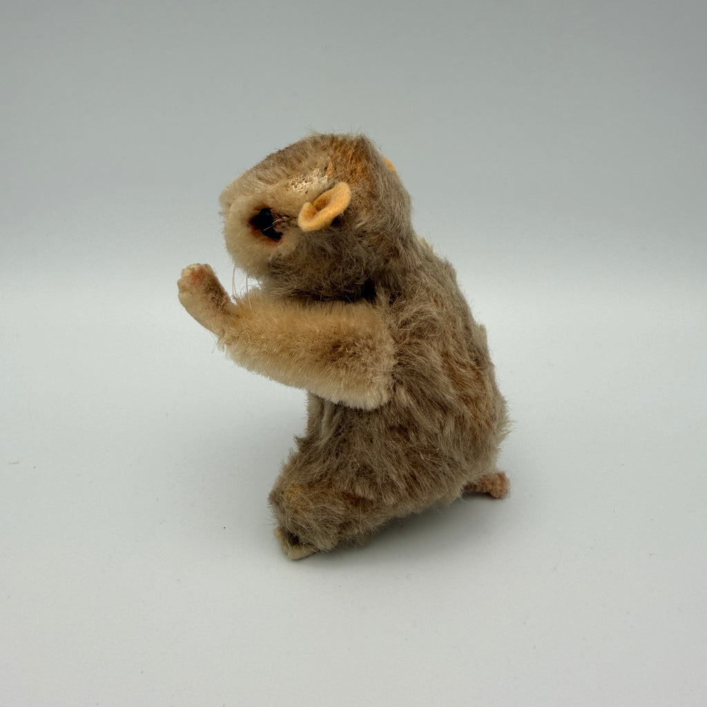 5 Steiff Tiere Bambi Xorry Jocko Bazi Goldy Knopf Fahne 1950er–70er Steiff